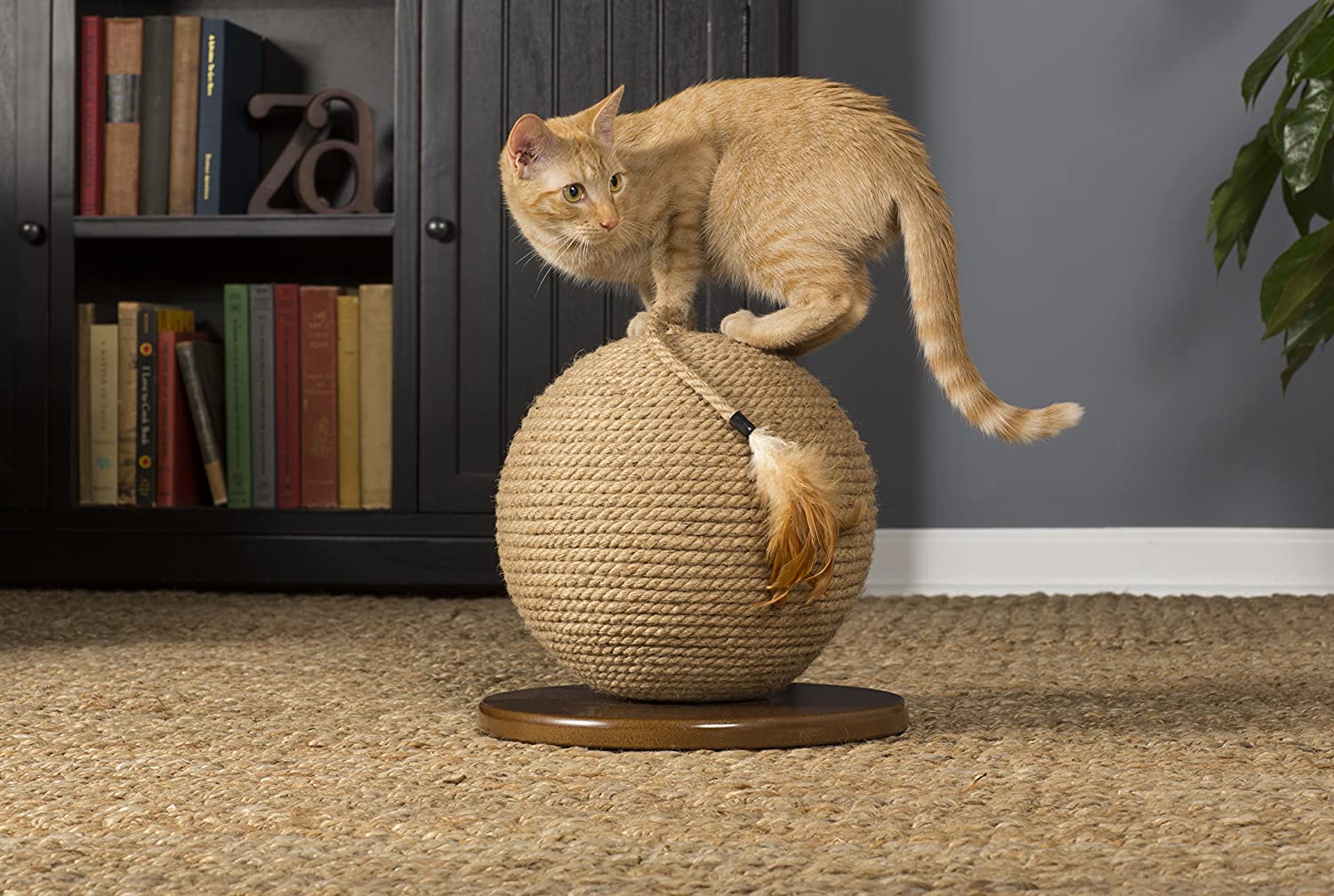Prevue Pet Products Kitty Power Paws Sphere with Tassel Toy, Natural, 13 (7130)