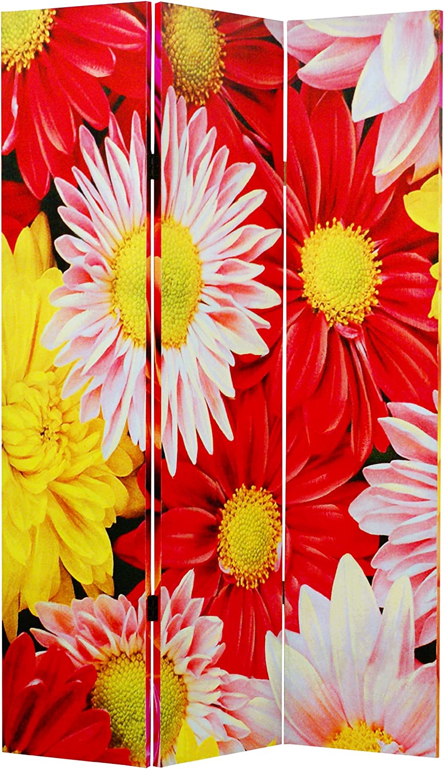 Screen Gems Daisy And Rose Room Divider