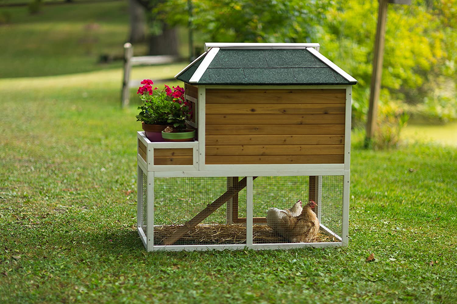 Prevue Pet Products 4701 Chicken Coop with Herb Planter, Natural/White