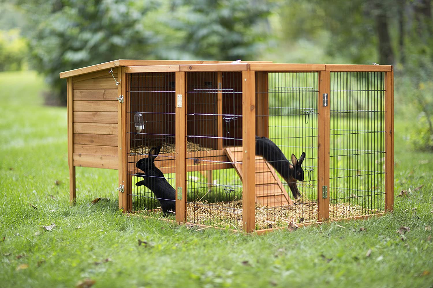 Prevue Hendryx 461PEN Pet Products Rabbit Playpen, Large