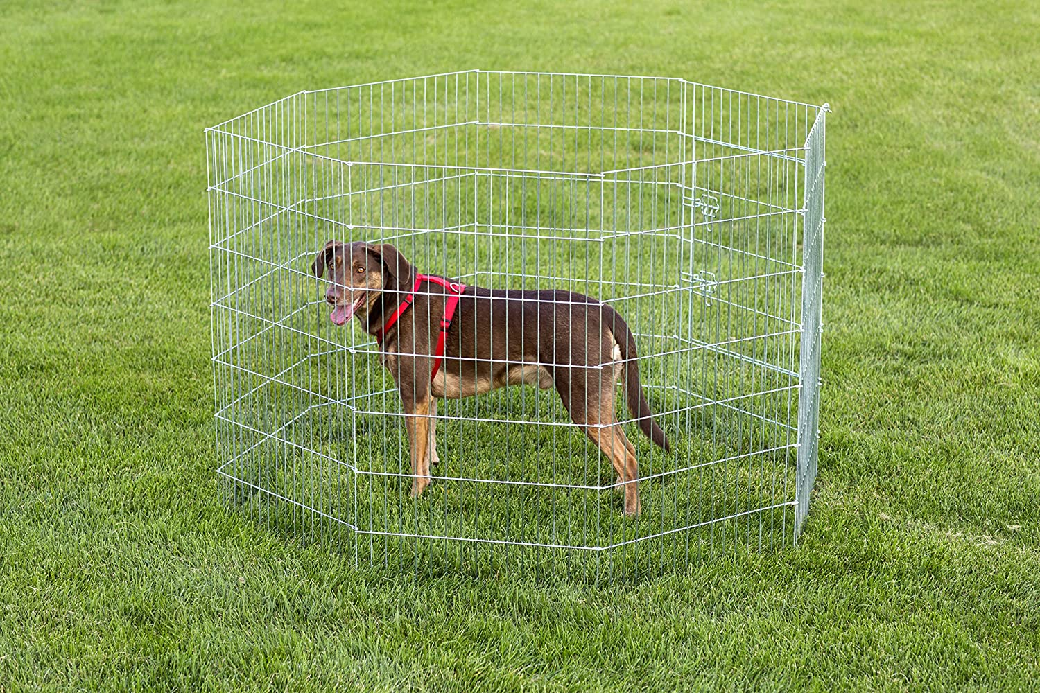 Prevue Pet Products 40142 Exercise Pen for Dogs, Silver