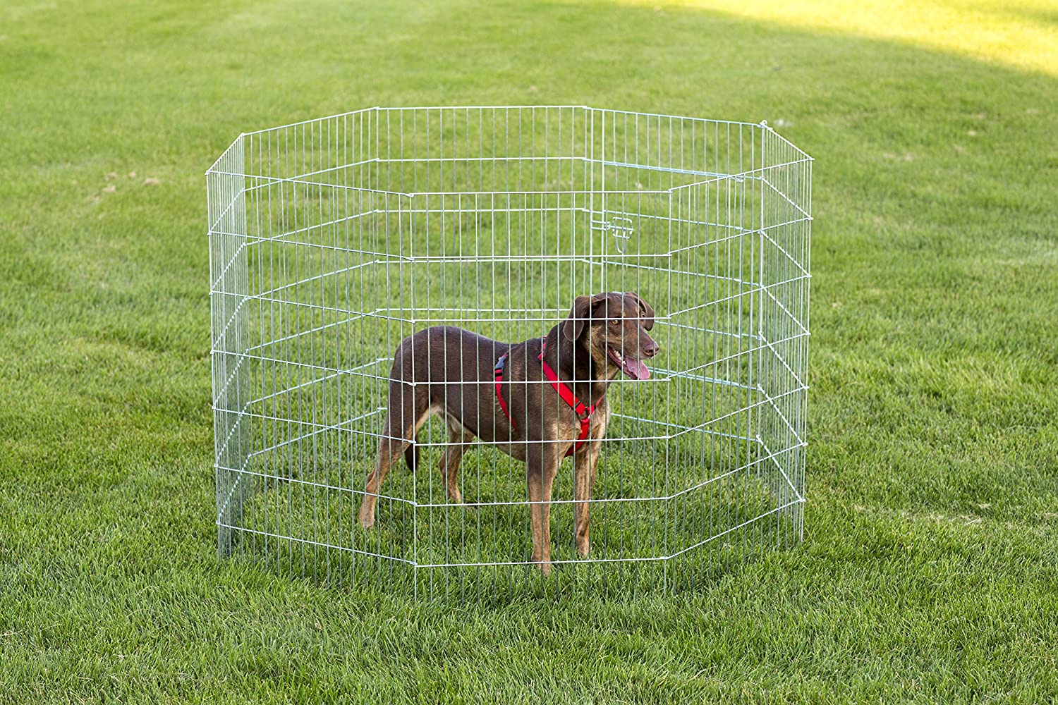 Prevue Pet Products 40142 Exercise Pen for Dogs, Silver